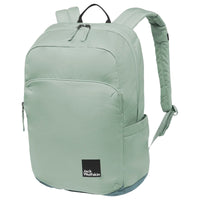 Jack Wolfskin Terraview 20 - Rucksack 43 cm (green zinnia) - Ansicht 2