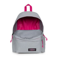 Eastpak Padded Pak'r 24 - Rucksack 40 cm (kontrast grey pin) - Ansicht 3