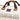 Napapijri Bering 3 - Reisetasche 60 cm (beige dimity) - Markenkoffer