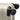 NINETYGO Modern - 4 - Rollen - Kabinentrolley S 55 cm (weiß) - Markenkoffer