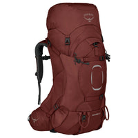 acorn red
