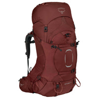 deep acorn red