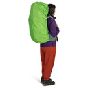 Osprey Ariel 55 Women - Trekkingrucksack 73 cm (koseret green) - Markenkoffer