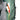 Tatonka Yukon JR 32 - Trekkingrucksack 59 cm (sage green) - Markenkoffer
