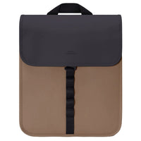 black-chestnut