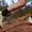 Runningschuhe - Markenkoffer
