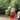 Vatertag-Geschenkideen - Markenkoffer