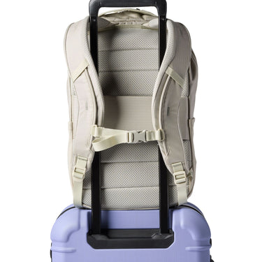 Cotopaxi Allpa 18L Daypack - Rucksack 43 cm (mineral) - Ansicht 7