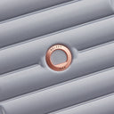 Delsey Paris Shadow 5.0 - 4-Rollen-Kabinentrolley S 55 cm erw. (platin) - Ansicht 9