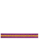 Aigner Inmotion - Koffergurt M+L verstellbar (violet) - Markenkoffer