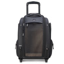 Delsey Paris Raspail - 2 - Rollen - Tiertrolley 48 cm nachhaltig (schwarz) - Markenkoffer