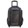 Delsey Paris Raspail - 2 - Rollen - Tiertrolley 48 cm nachhaltig (schwarz) - Markenkoffer