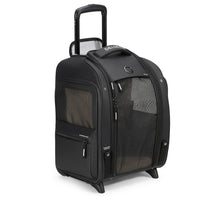 Delsey Paris Raspail - 2-Rollen-Tiertrolley 48 cm (schwarz) - Ansicht 2