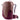 Deuter Futura 25 SL - Women's Wanderrucksack 53 cm (ashrose - cassis) - Markenkoffer
