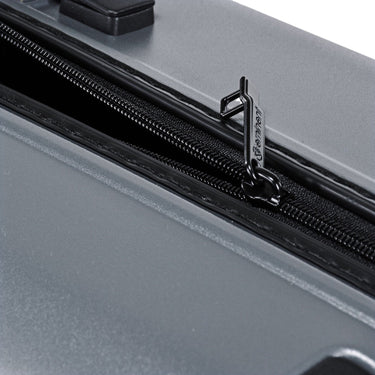 Eminent DANDELION - 4 - Rollen - Kabinentrolley 55 cm (dark grey) - Markenkoffer