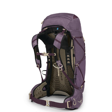 Osprey Eja 38 Women XS/S - Trekkingrucksack 75 cm (purple dusk) - Markenkoffer