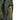 Osprey Kestrel 58 L/XL - Trekkingrucksack 82 cm (bonsai green) - Markenkoffer