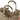 reisenthel shopping loopshopper L - Einkaufstasche mit Bügel 46 cm (rhombus olive) - Markenkoffer