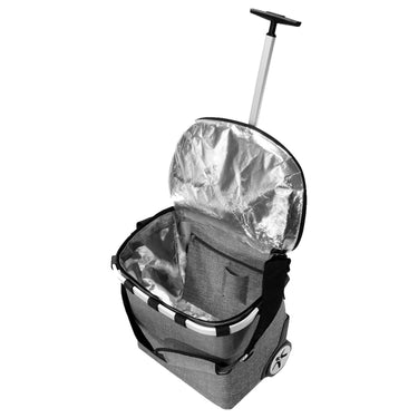 reisenthel thermo carrycruiser ISO - Einkaufstrolley mit Kühlfunktion 47.5 cm (twist silver) - Markenkoffer
