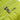 Roncato Skyline 2.0 - 4 - Rollen - Trolley M 70 cm erw. (cyber lime) - Markenkoffer