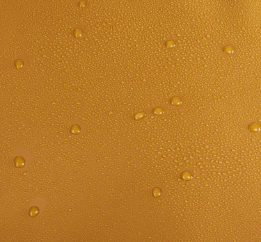 Thule Chasm 30 - Reisetasche 48.5 cm (golden) - Markenkoffer